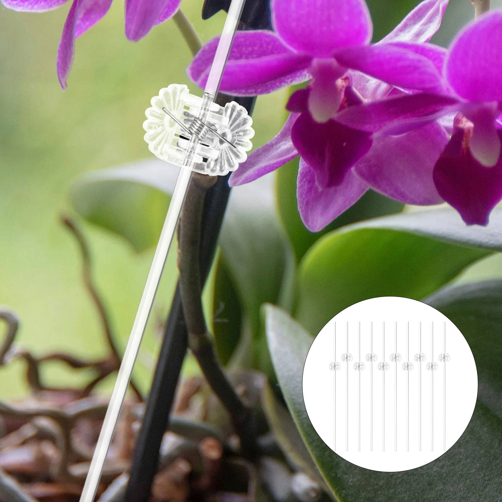 Опорные колья для растений домашние растения перлит решетки в горшках кронштейн