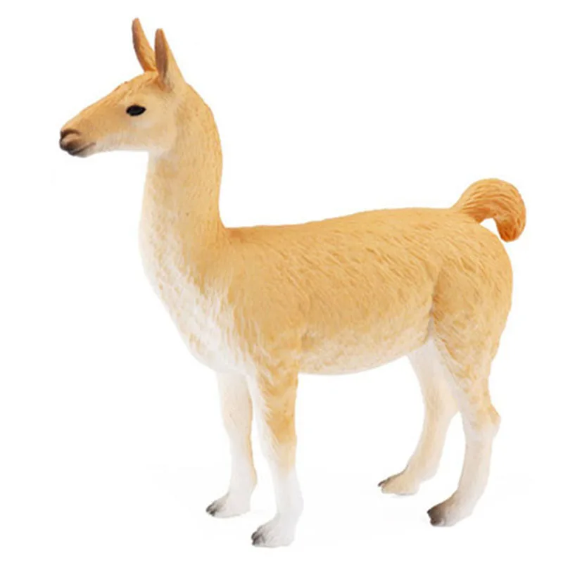 Альпака. Лама. Альпака 3d модель. Модели альпака. Альпака 3д модель.