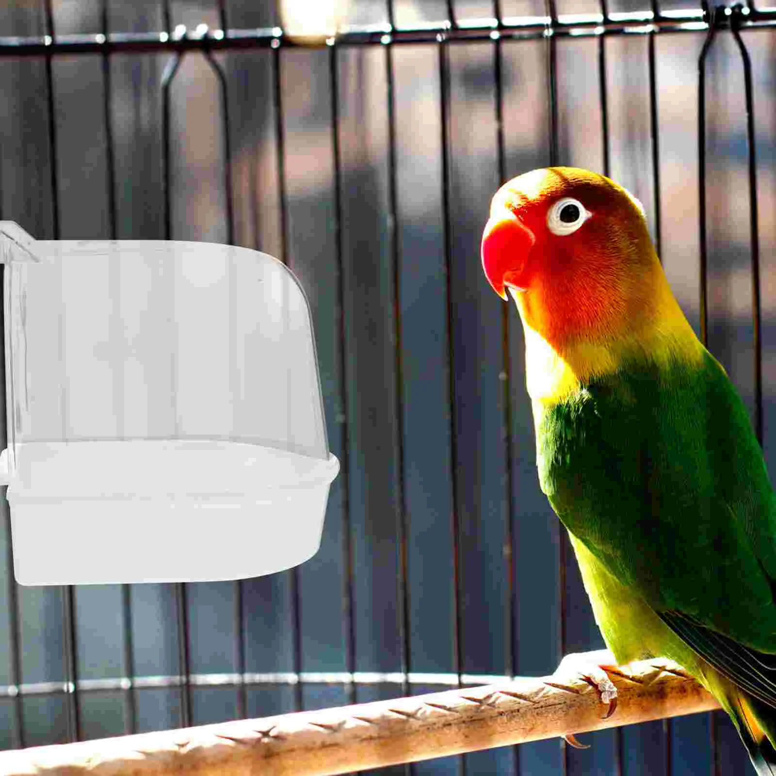 

Bird Bath Cagebox Accessories Parrot Bathtub Parakeet Birds Bowl Parakeets Tub Canary Shower Budgie Cockatiel Covered Waterbaths