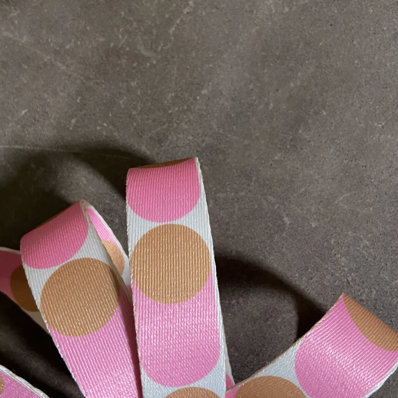 Evelyn Bag With Shoulder Strap Color Woven Canvas Shoulder Strap All-match Leather Diagonal Bag Strap Accessories