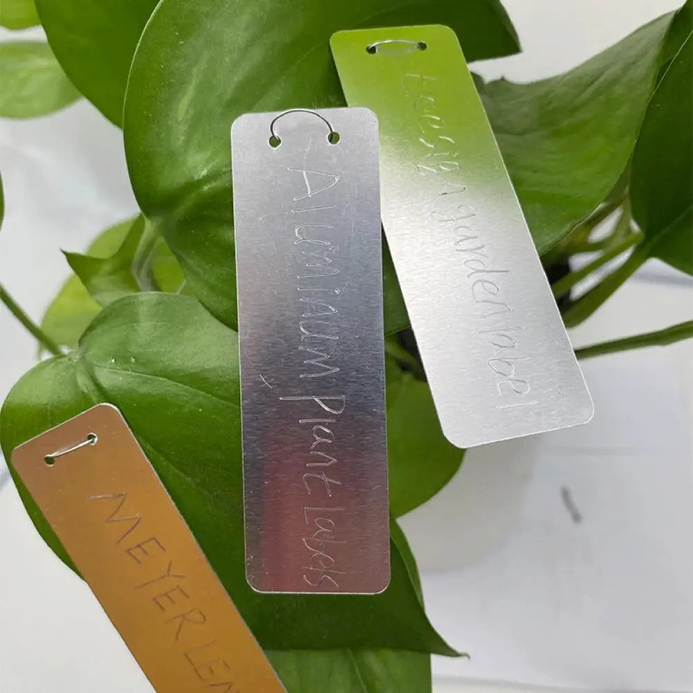 

100 Sets Plant Labels Waterproof Smooth to Write Aluminum Double Hole Design Tree ID Tags Garden Supplies