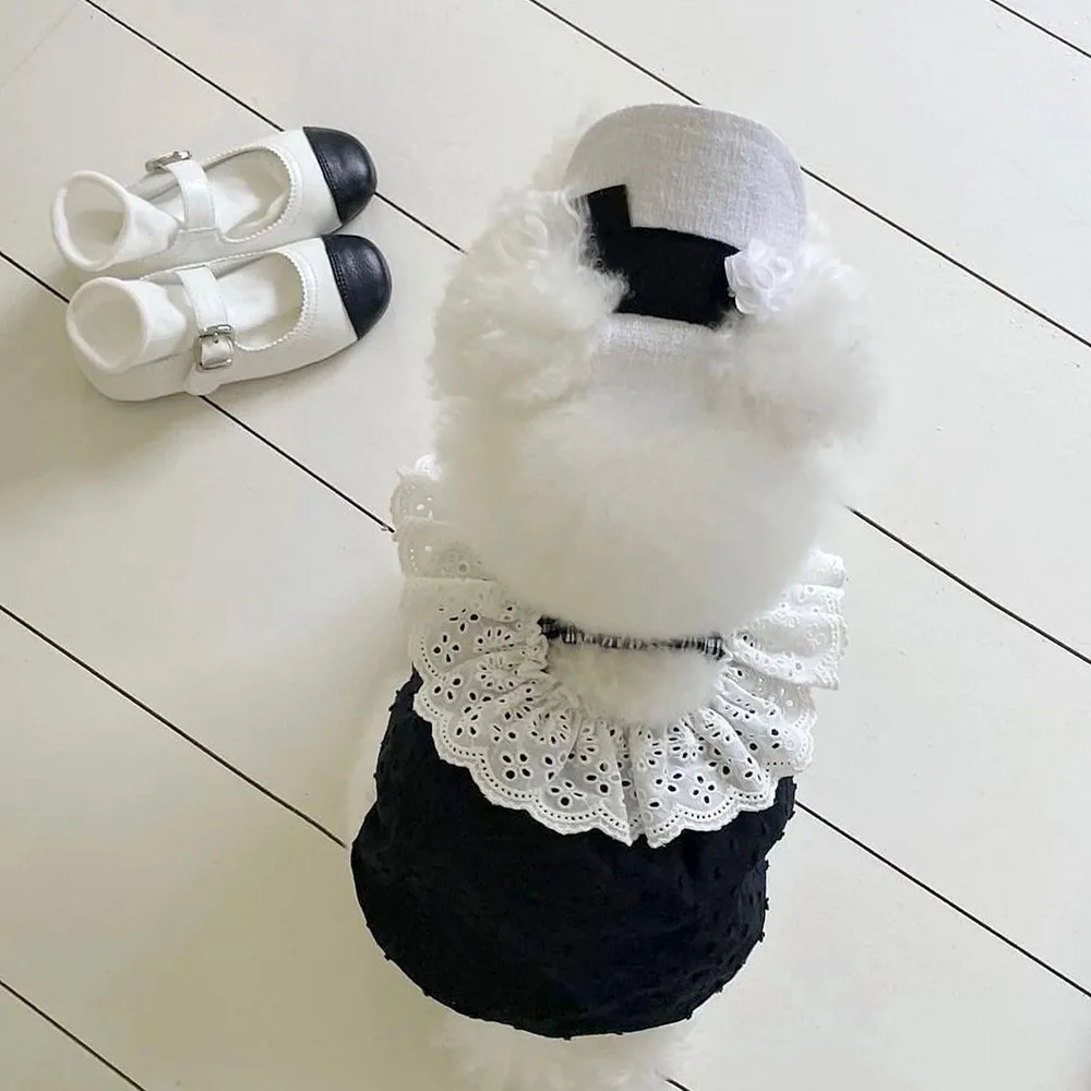 

Summer Pet Dogs Dresses Luxury Lace Cotton Dogs Clothing With Princess Dress Costume French Bulldog For Small Dog Girl Chihuahua