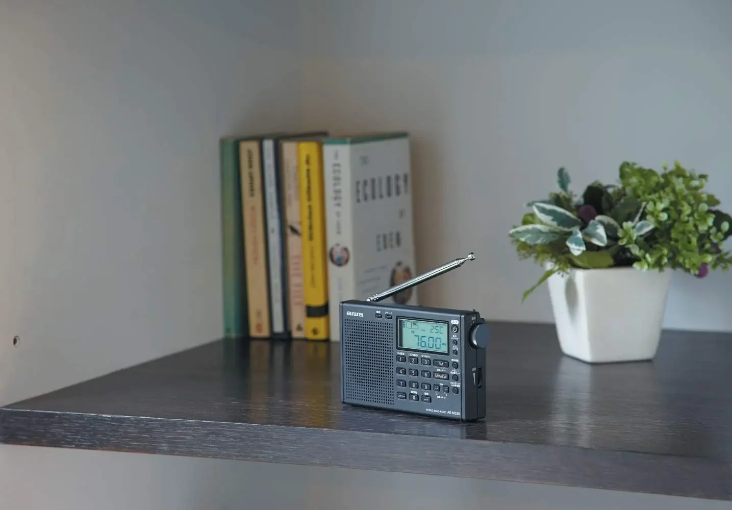 Для фотовспышки FM/AM MW LW SW короткая волна