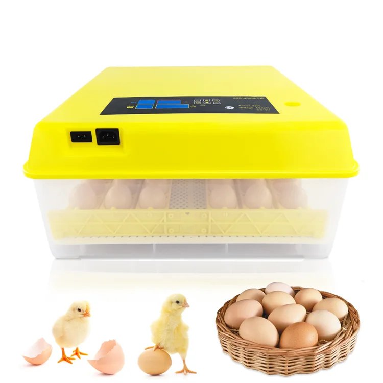 

Hdd Egg Incubator 48 Eggs Mini Hatchery Machine