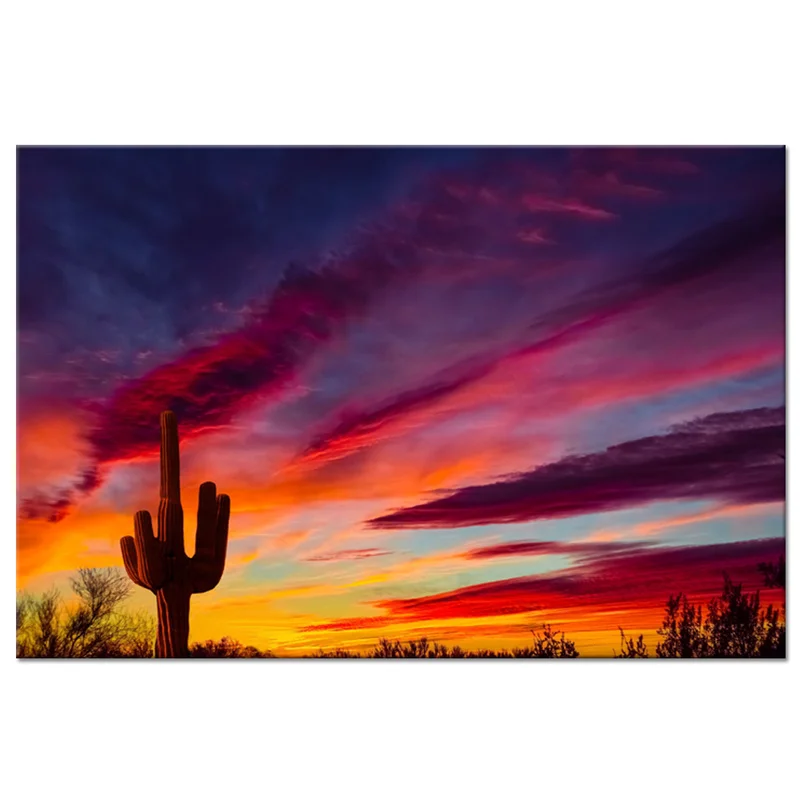 

1 Piece Beautiful Cloud Wall Art Poster Cactus In Desert Print Canvas Painting Modern Style Pictures Living Room Wall Art
