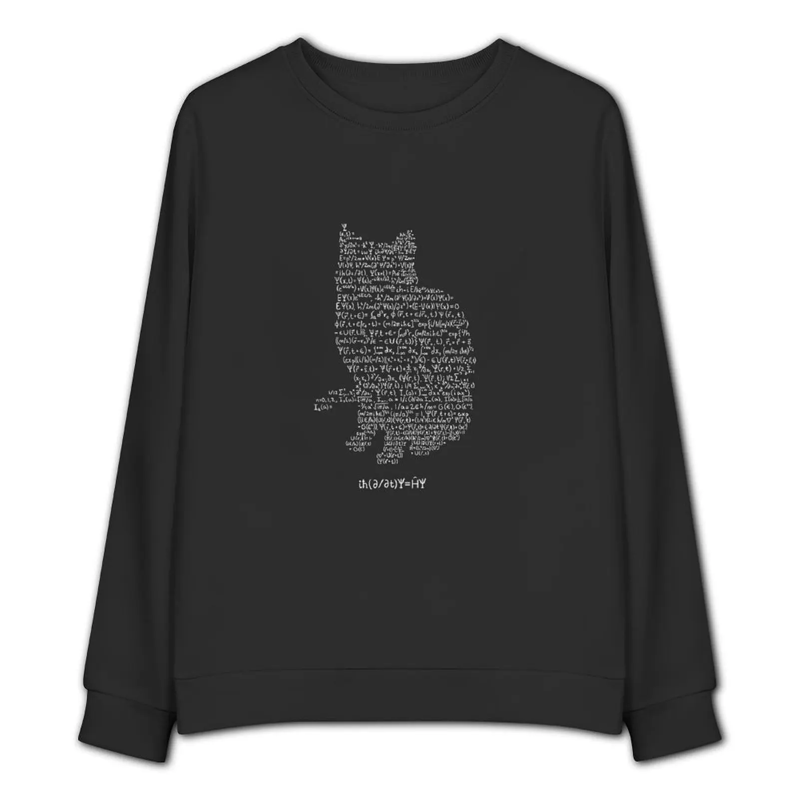 Свитшот Schroedinger новые осенние товары графические футболки мужские толстовки с