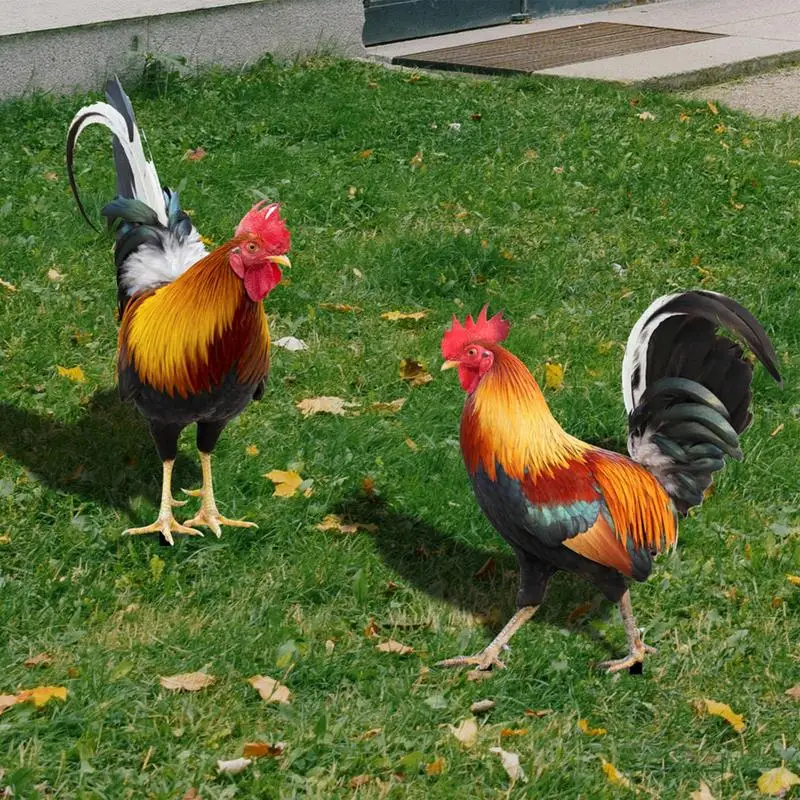 

Acrylic Garden Stakes Rooster Decoration Outdoor Poultry Decoration Sign Card Hen Statues Ornament Courtyard Decoration