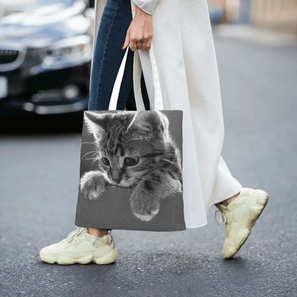 Kitten In A Box ,cat Totes Canvas Handbag Women Canvas Shopping Bag