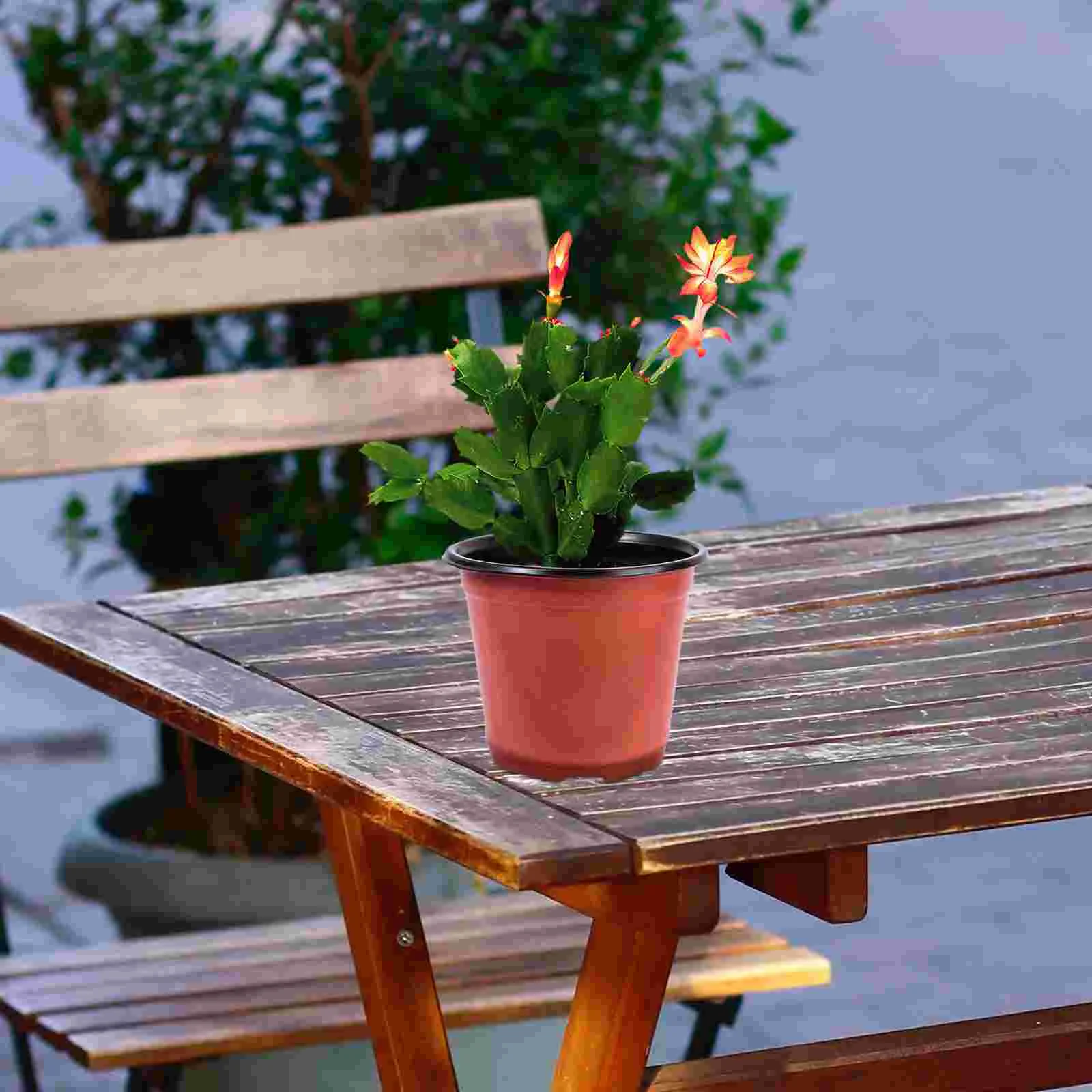 30 шт. пластиковый цветочный горшок креативный дышащий суккуленты раковина -