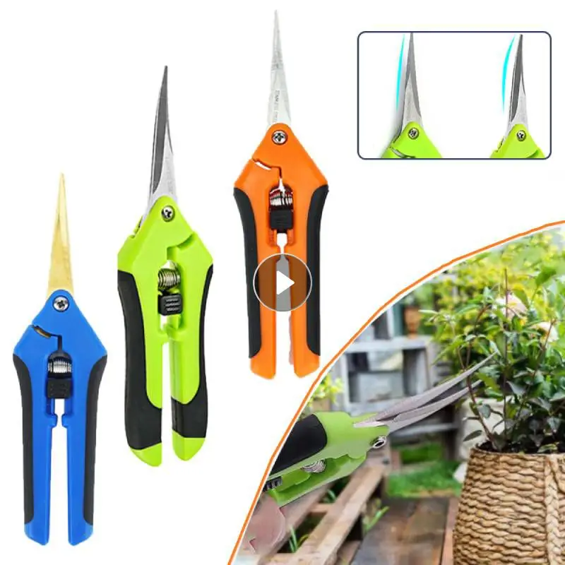 

Садовые ножницы из нержавеющей стали для обрезки растений, фруктов, винограда
