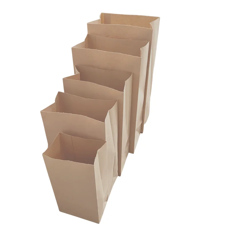 

50/100 coated kraft paper bag gift packaging biscuits, sandwiches, dry food and snacks bag paper candy cake box packaging bag