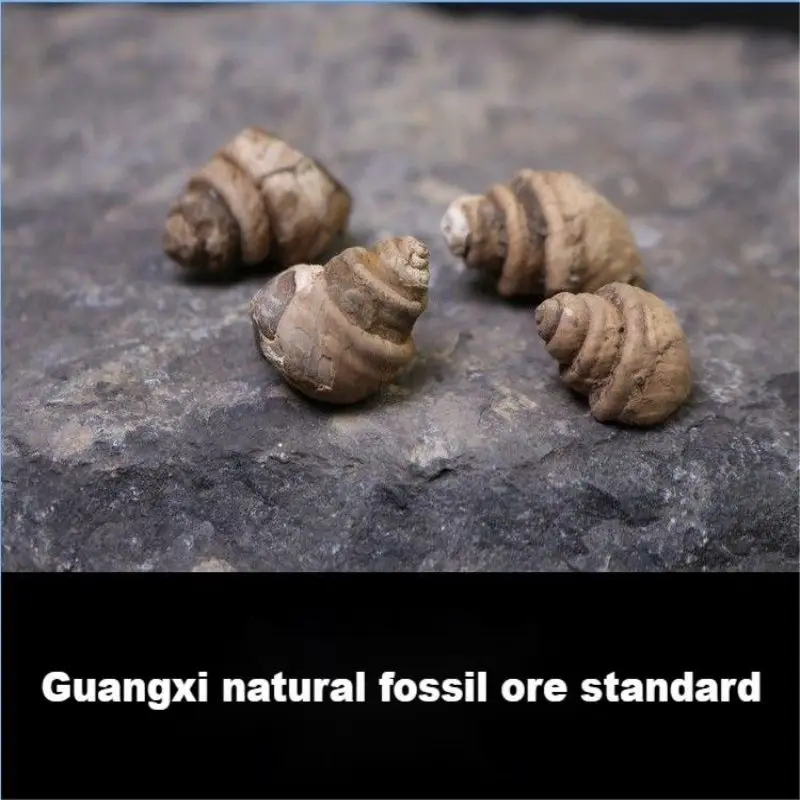 1Pcs A Natural Mineral Standard Strange Stone Original Stone Natural Ornamental Stone Line Stone Farmers From Pick From