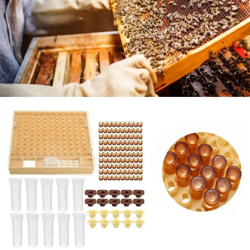 

1 Set Queen Bee Breeding and Cultivation Plastic Box Beekeeping Free Cover Table Base Cup Complete Kit Beekeeping Tools Supplies