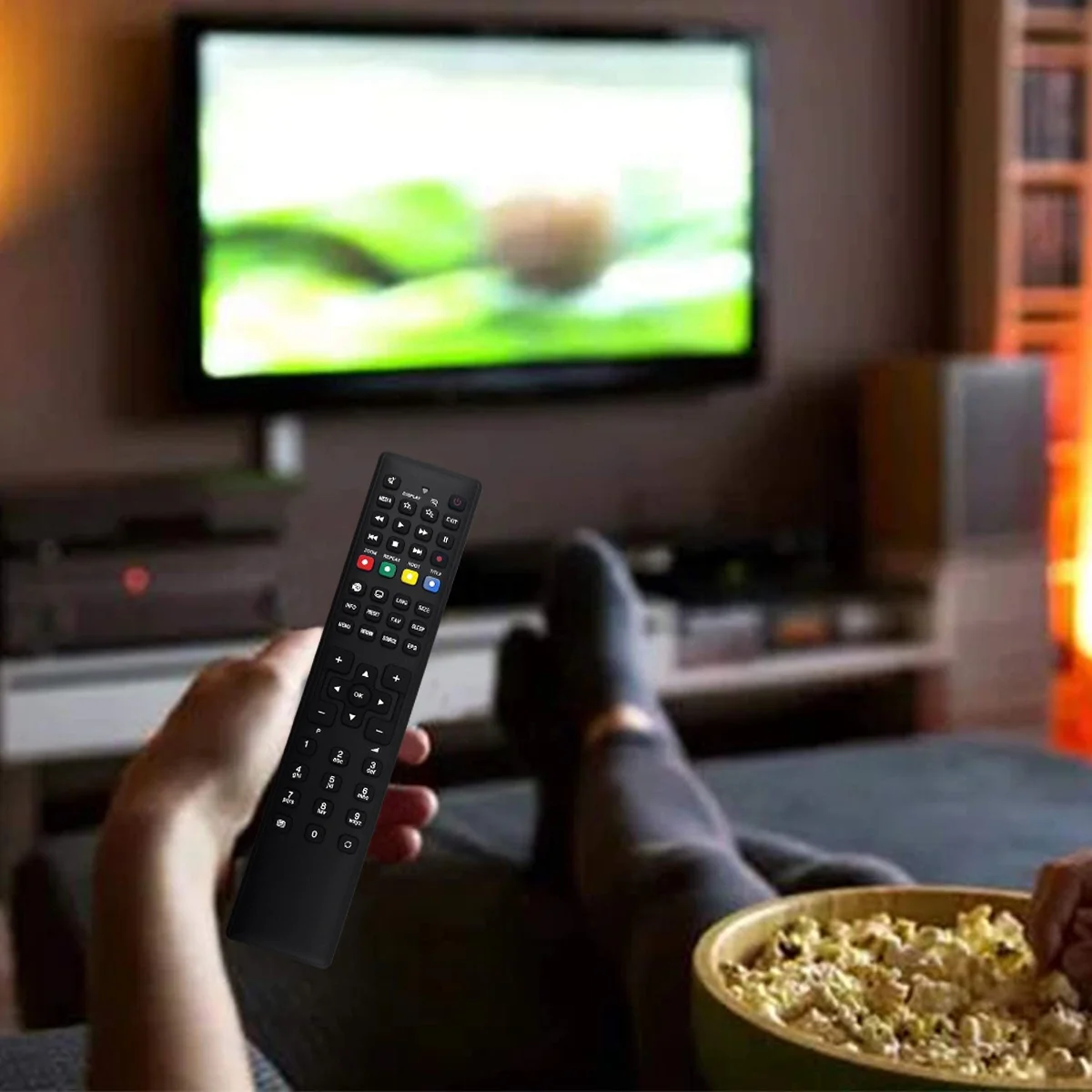 Пульт дистанционного управления RC1208 для телевизора 30297 MD20255 MD20294 MD21080 MD21106 MD21131 MD21166