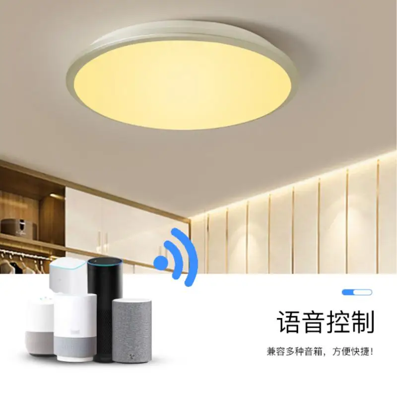 

24w Tri-proof Light Remote Control Mobile App Control Wifi Smart Ceiling Light Ceiling Light Work With Alexa Google Assistant