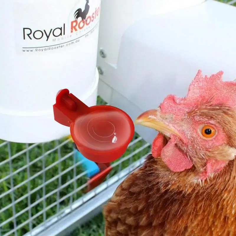 Blender Smoothie Bottle Cup ABS Automatic Chicken Water Cup Chicken Drinker Bowl Useful Water Feeder For Chicks And Ducks