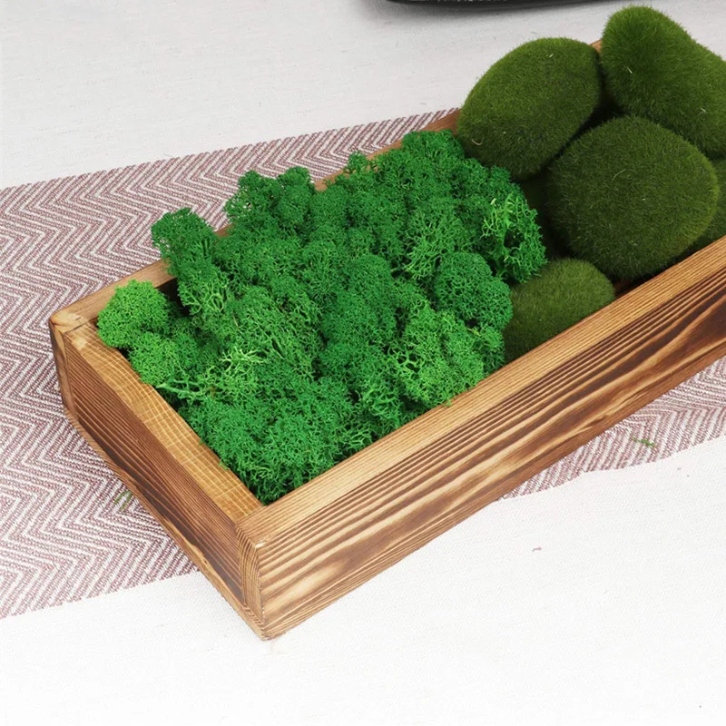 

20g Artificial Moss Green Plants Eternal Life Moss Grass Landscape Moss Embellishment Garden Decor Accessories DIY Crafts