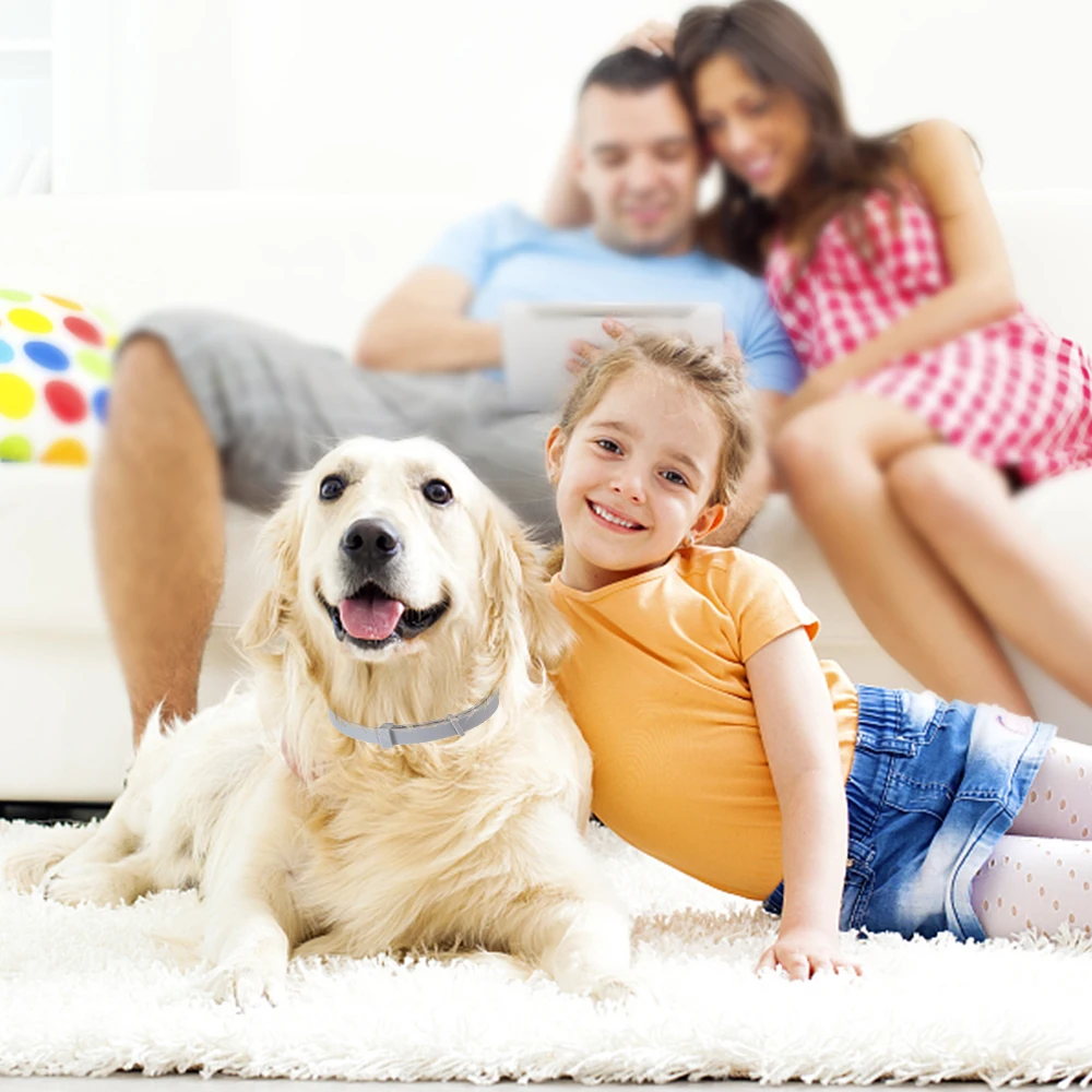 Новый 8-месячный воротник с предотвращением блох и клещей Перро для кошек собак