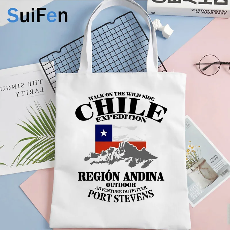 

chile shopping bag eco bolso cotton jute bag bag sacola net shoping sac cabas sac toile