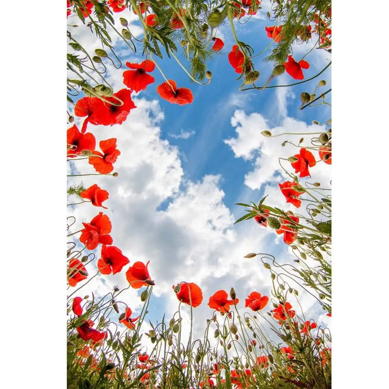 

5D Diamond Painting The Sky and The Red Flowers Full Drill by Number Kits for Adults, DIY Diamond Set Arts Craft a0703