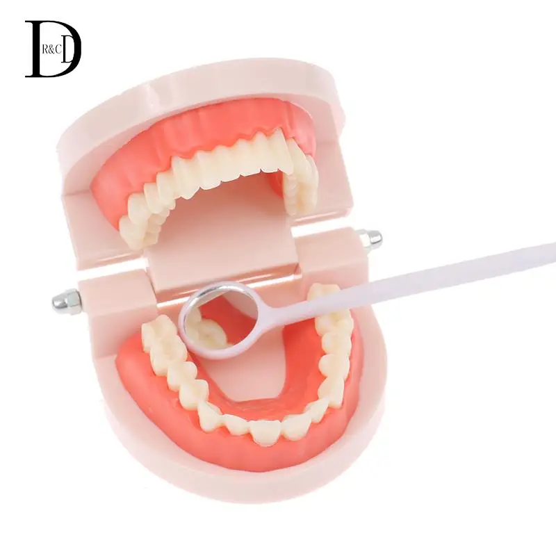 

Montessori Educational Toys For Children Early Learning Kids Intelligence Brushing Tooth Teaching Aids Simulated Practical Life