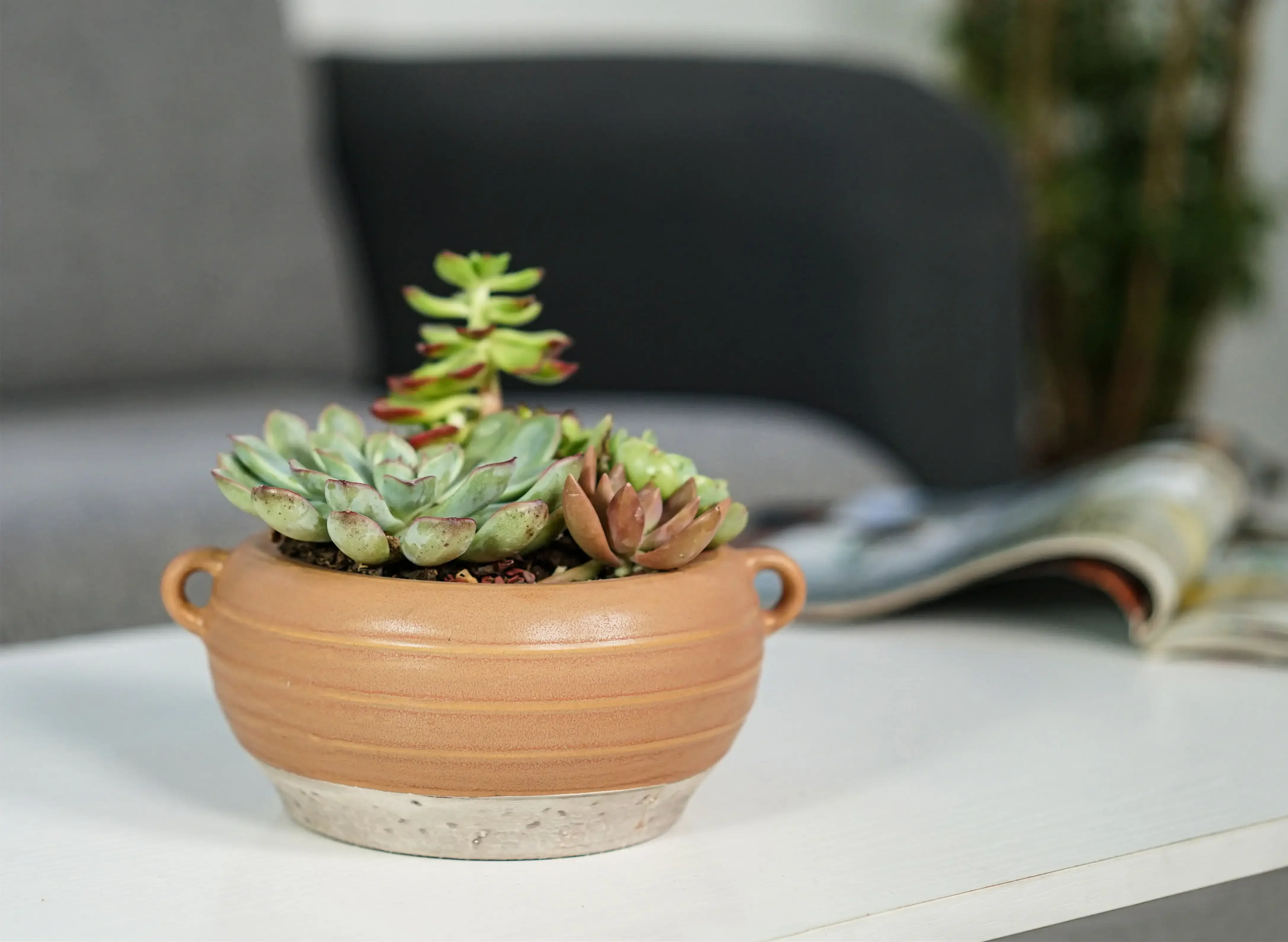 

g 6" Orange Ceramic Planter with Handle Garden Pots & Planters
