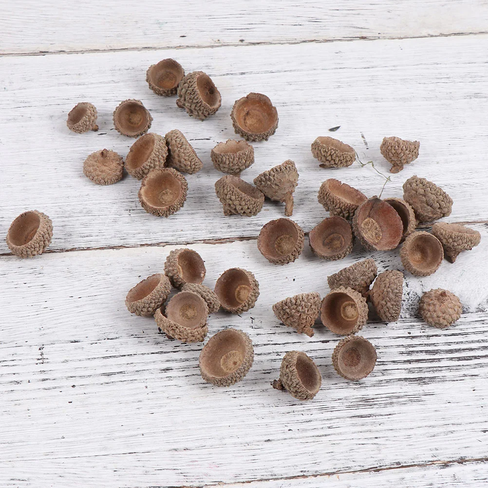 

Acorn Ornaments Christmas Decorations Natural Caps Tree Artificial Acorns Ornament Fruit Craft Mini Thanksgiving Vase Pine