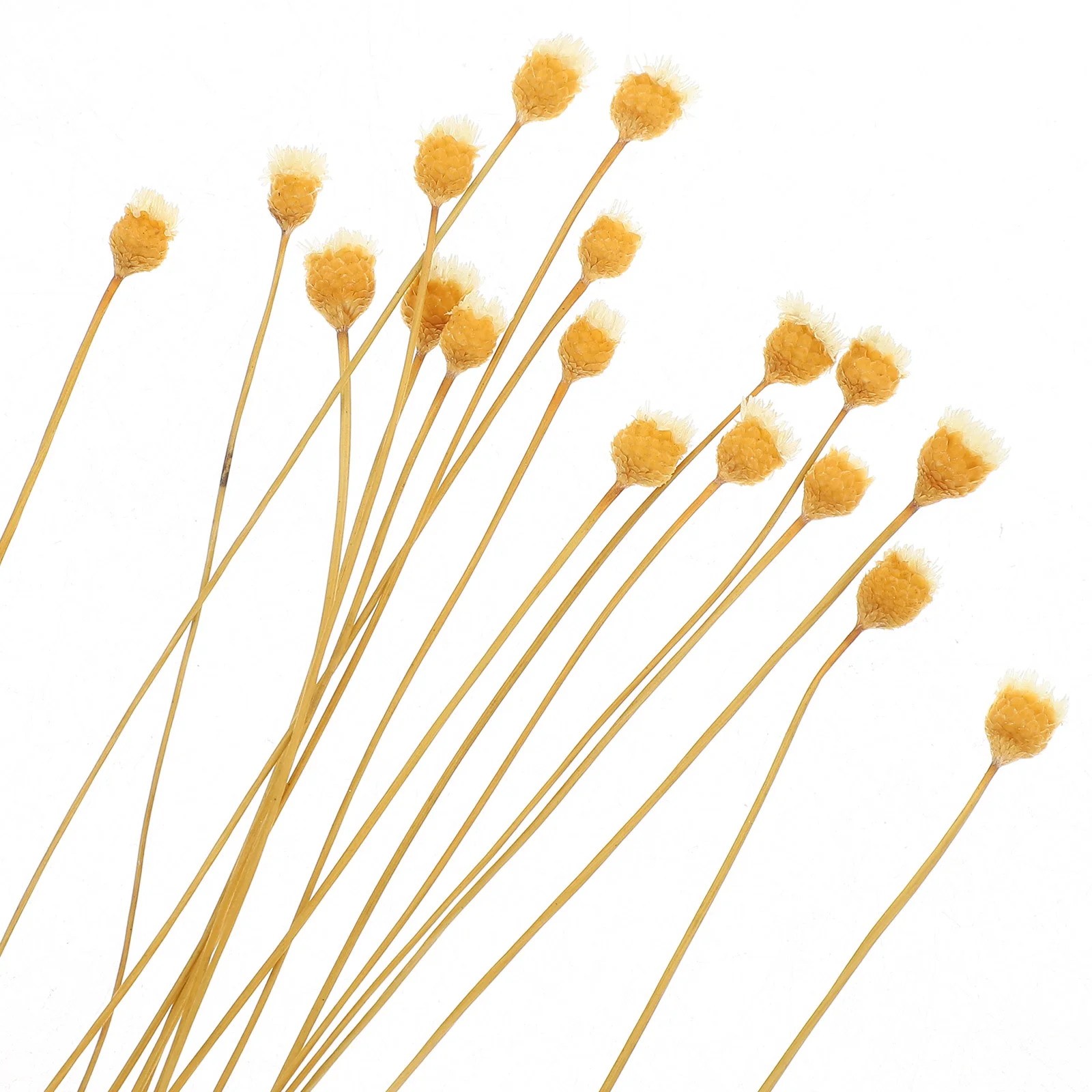 Ароматерапия из ротанга сушеные искусственные палочки сменные бутылки эфирные