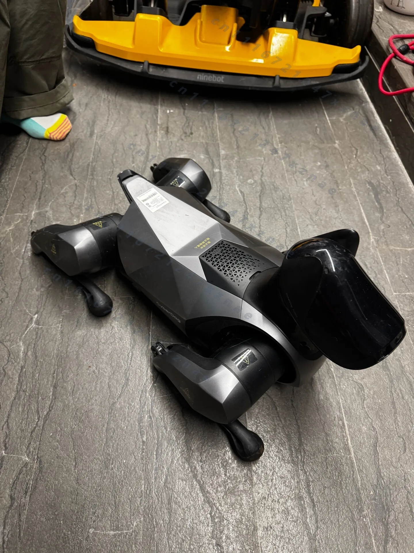 Фото Робот-собака CyberDog 2 Bionic с 12 степенями свободы, моторами CyberGear, 19 датчиками, скоростью 1.6 м/с, открытым исходным кодом для исследователей и разработчиков ИИ №1