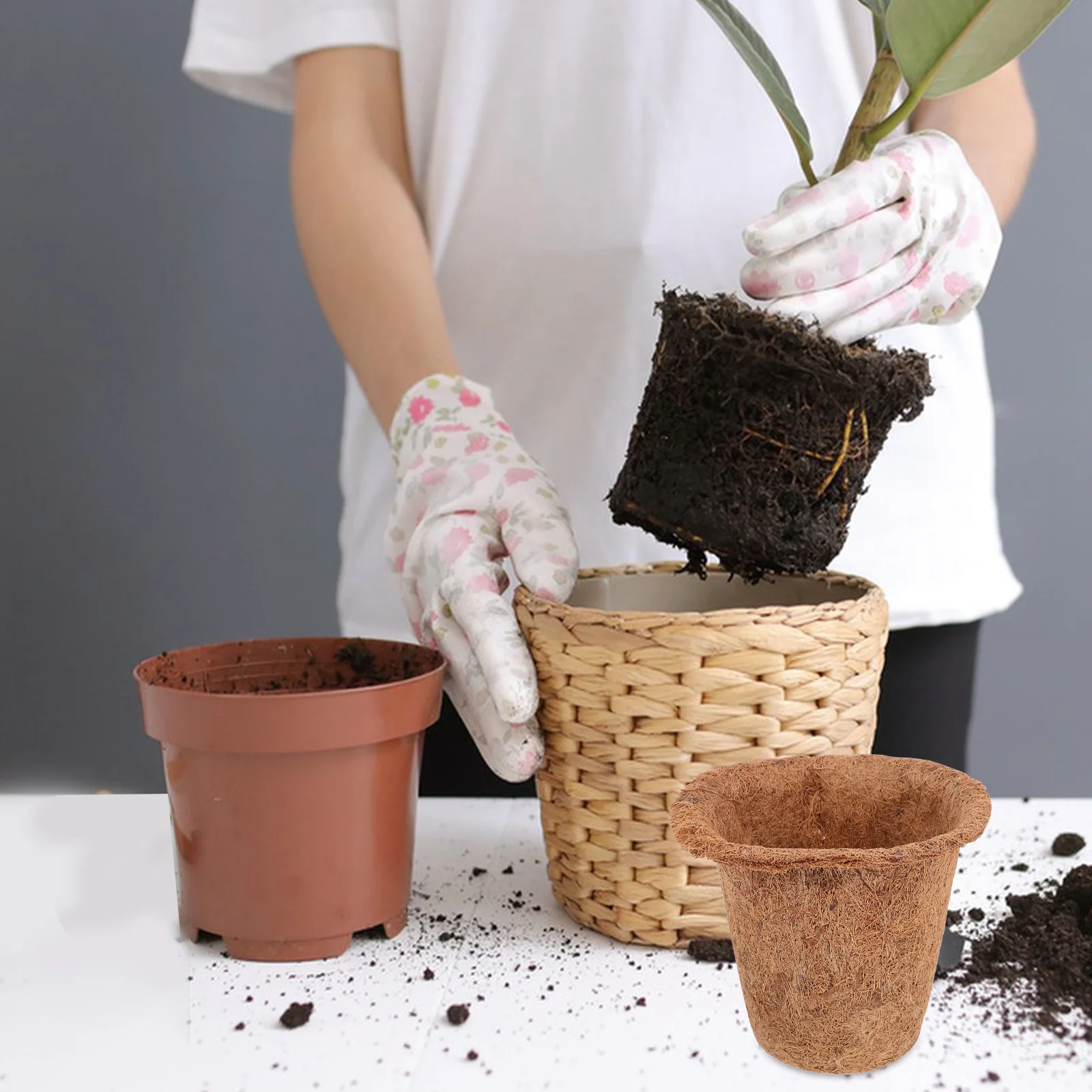 4 шт. горшок для выращивания кокосовой пальмы