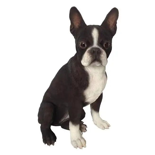

Terrier Pet flea
