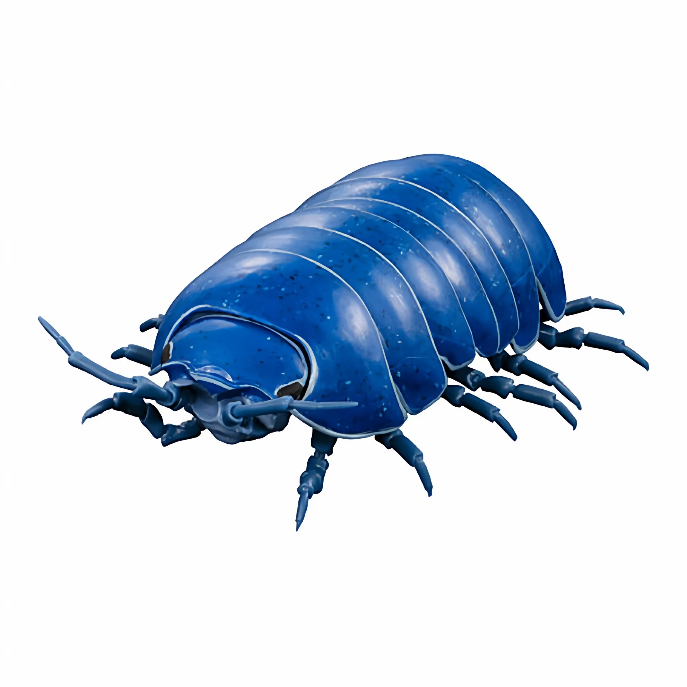 Фото Коллекционная фигурка Bandai Authentic Premium Gashapon Pill Bug, 140 мм, полностью подвижная, реалистичная модель изопода. Серия «Разнообразие жизни» для коллекционеров. №4