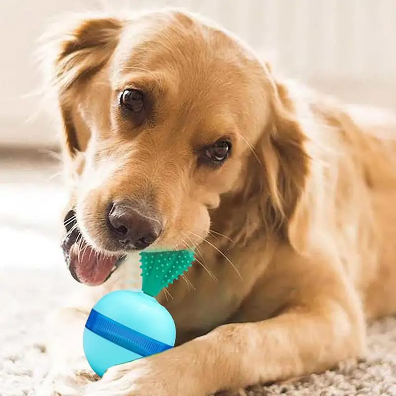 

Dog Food Toy Enrichment Toy Suction Cup Tug Interactive Training Adjustable Ball Slow Eating Feeder Nontoxic Pet Dog Toy