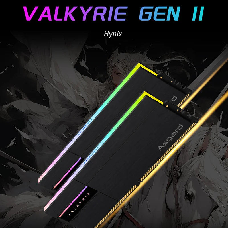 Оперативная память для ПК Asgard Memory RAM DDR5 RGB