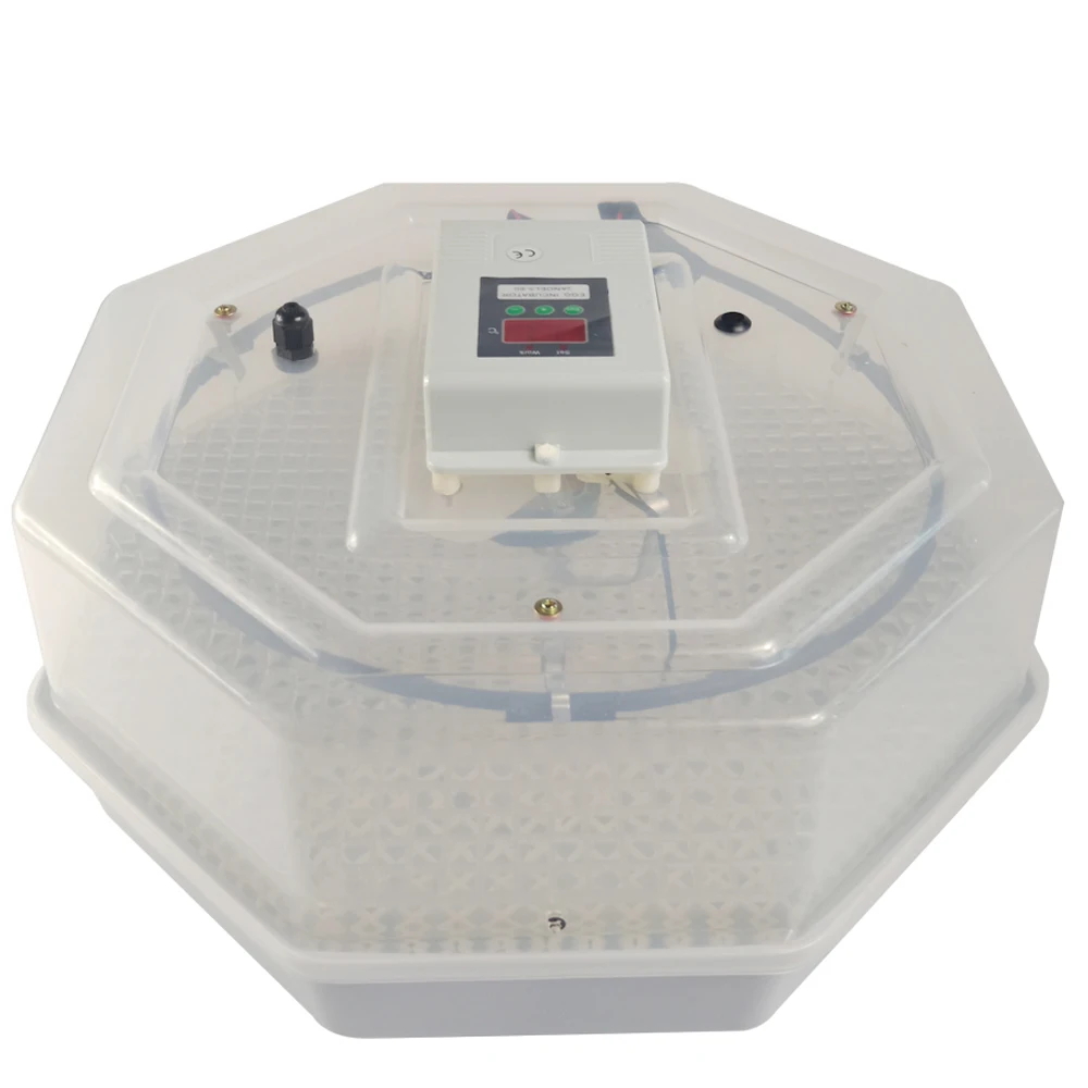 

Hatching Chicken Quail 50 Duck Goose Farming Equipment China Automatic Egg Incubator