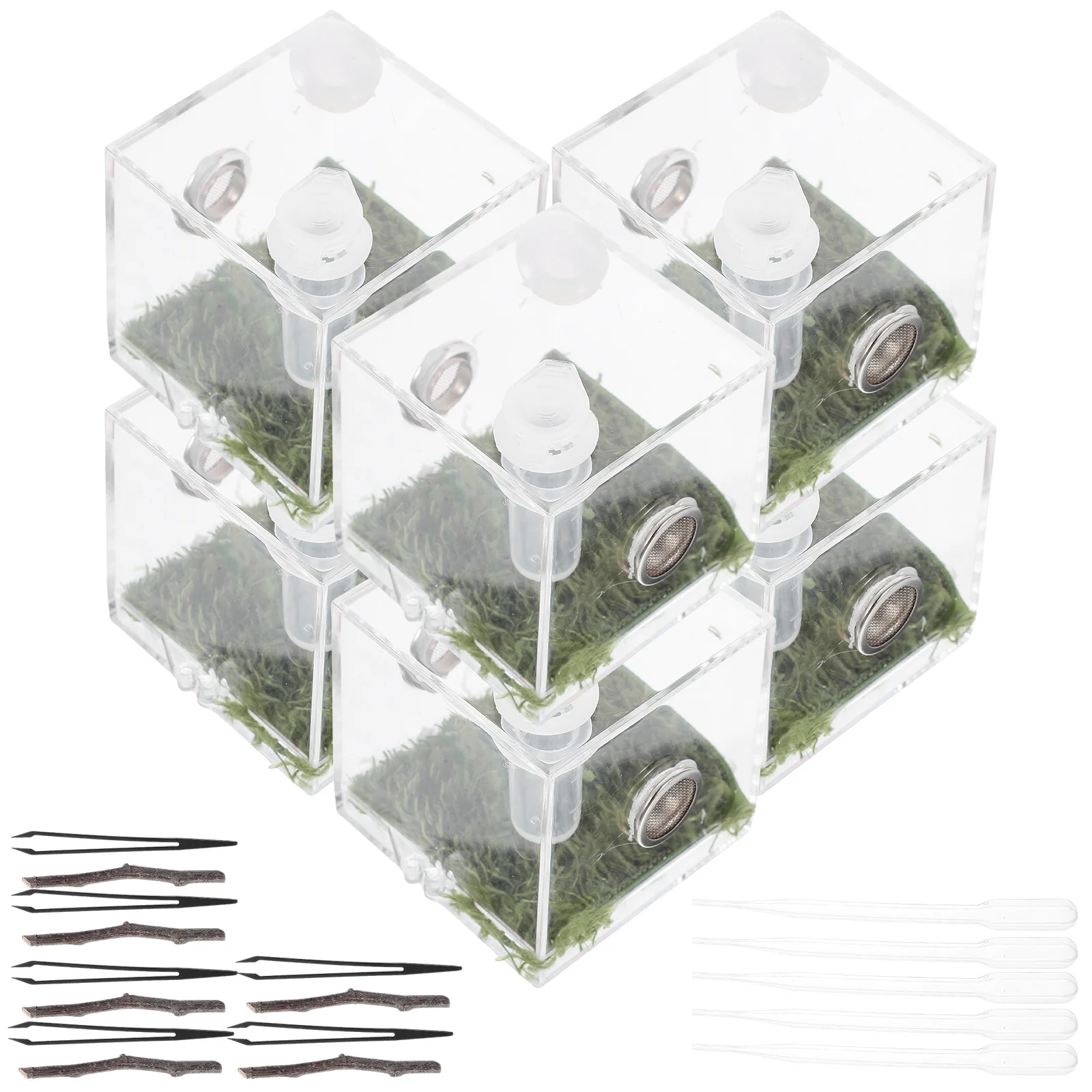 2 комплекта клетка для прыжков пауков ящик разведения резервуар домашних