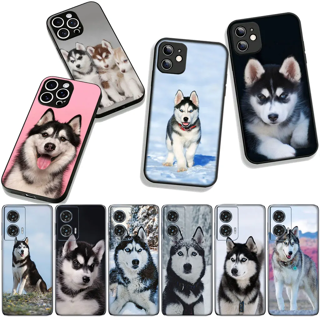 Фото Чехол для телефона Lovely Husky Dog Funny для Apple iPhone 17 16 11 Pro XS Max XR 6 7 8 Plus 16E SE 2020 Air 5 SE2, гибкий чехол №4