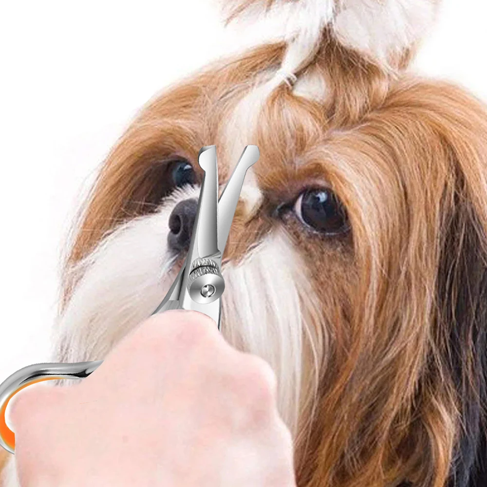 1 шт. безопасные ножницы для домашних животных из нержавеющей стали