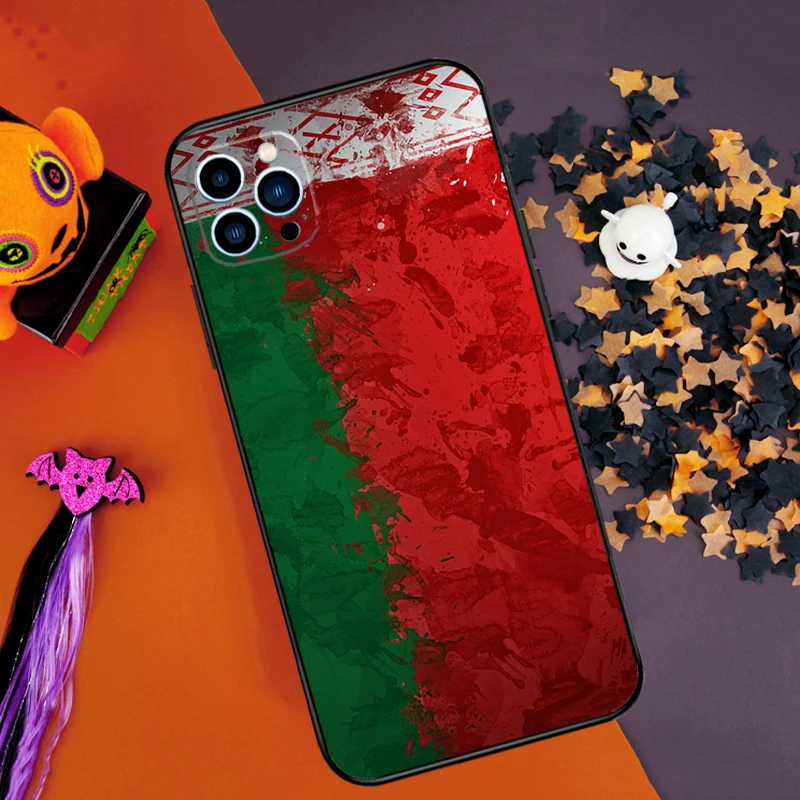 Фото Чехол-бампер с флагом Беларусь для iPhone 15, 16, 14 Pro Max 11, 12, 13 Pro Max Mini XR 16e 16 15 Plus, чехол для телефона №3