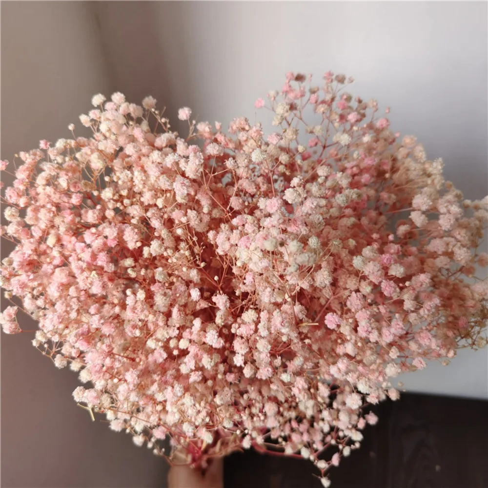 

Сушеные цветы гипсофилы YN HI FLOWER ENJOY YOUR LIFE