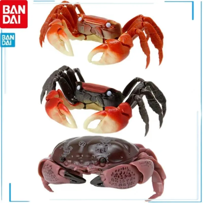 

BANDAI In Shelf Simulation Animal Simulation Animal Macrocheira Kaempferi Spider Crab Macrocheira Kaempferi Kids Brinquedos