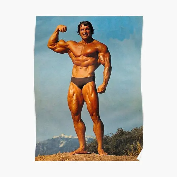 

Арнольд Шварценеггер, постер, картина, Декор, роспись, винтажная роспись, Декор для дома, картина, комната искусство настенный современный, с...