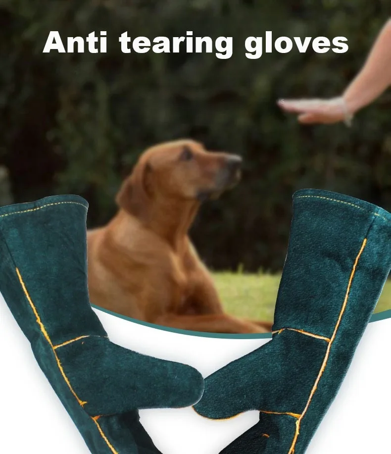 

Pet supplies, dog crawling and anti bite gloves, 60cm pet protective gloves