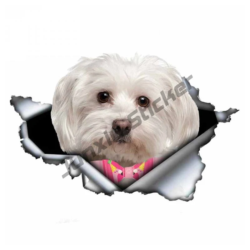 

Funny Self-adhesive Decal Cute Maltese Dog Car Sticker Waterproof Auto Decors on Bumper Rear Window Laptop KK17*17cm