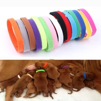 15 pcsset puppy newborn pets identify collars kitten necklace whelping puppy collars adjustable nylon small pet dog collars