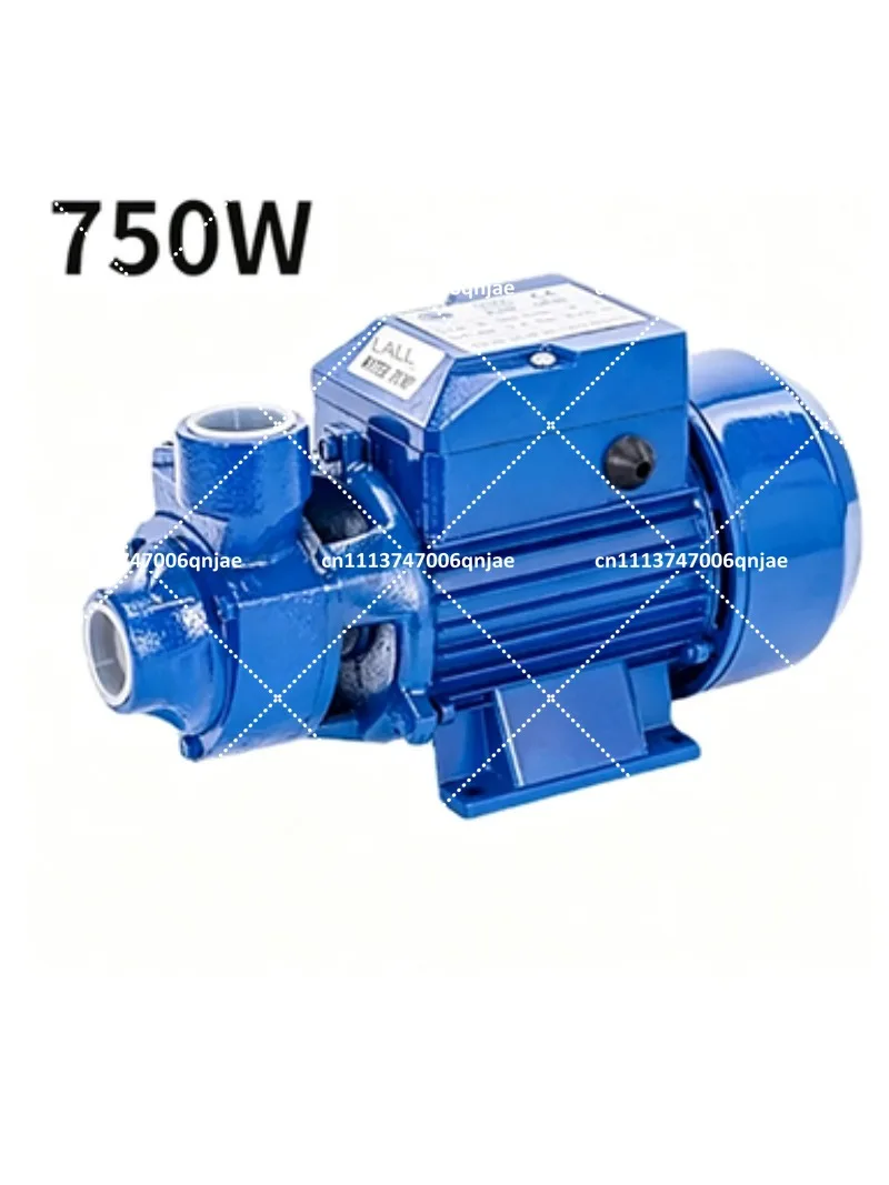 Фото Чугунный самовсасывающий центробежный водяной насос 550W 750W, повысительный насос высокого давления для откачки воды из скважин №2