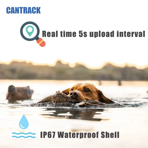 GPS-трекер с голосовым мониторингом местоположения овец отслеживание в реальном времени ошейник для козы gps охотничий ошейник для собак