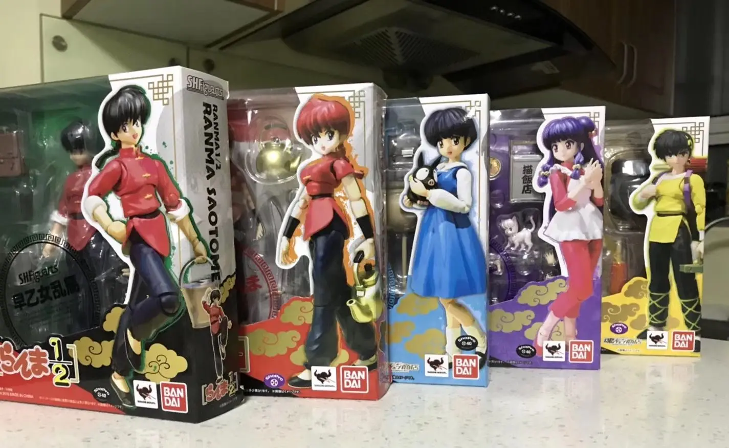 Tamashii Nations Exclusive  Action Figure Hibiki Ryoga Gift For K