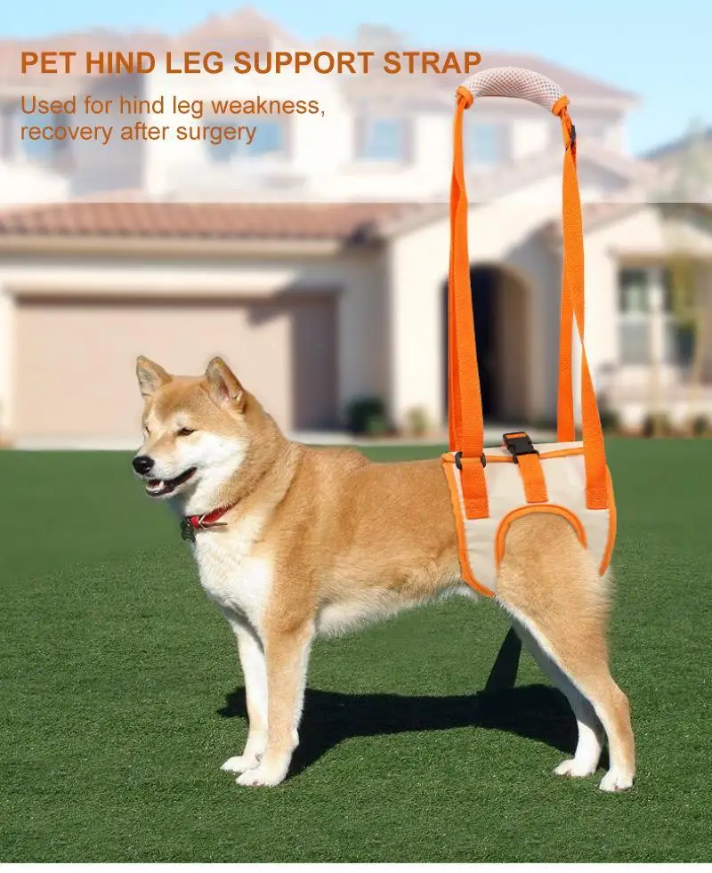 

Регулируемый подтягивающий ремень для собак, поддержка спины и ног, сетчатая повязка для слабых ног, средство для помощи пожилым собакам