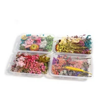 1 box diy mixed dried flower art craft epoxy resin for candle making jewellery home party decoration making cards dry flowers